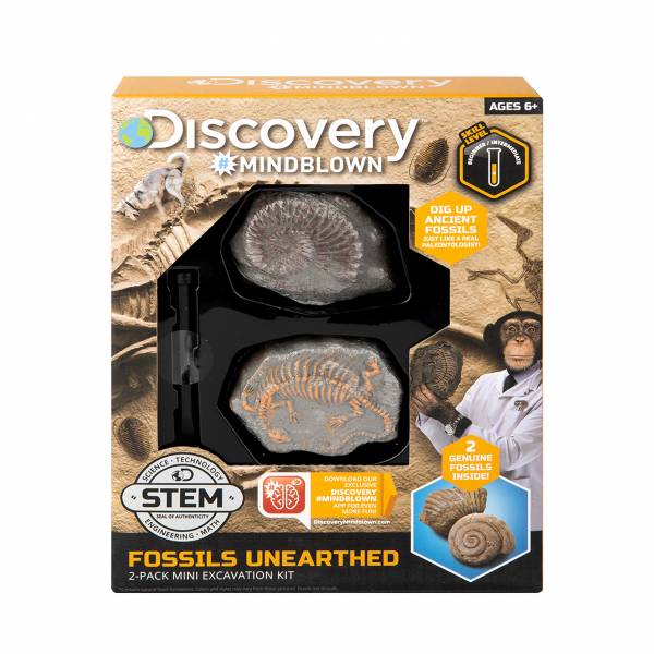 Buy Discovery Mind Blown Mini Fossil Dig 2 Piece Pack Set Excavation Kit, Interactive Archaeology Paleontology Experiment, Learn Science, Fun And Educational Steam Toy For Kids | Yallatoys.com