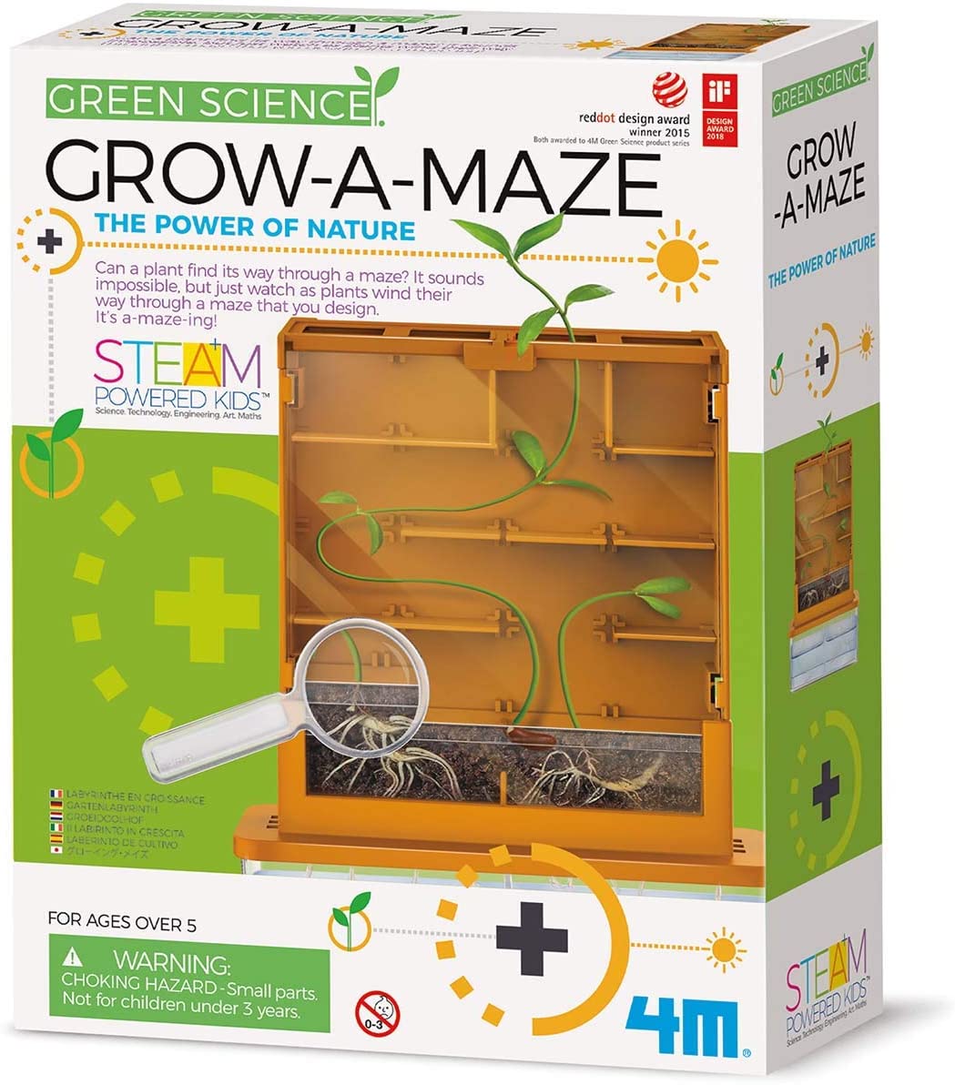 Buy 4M Grow-A-Maze Green Science Kit | Yallatoys.com