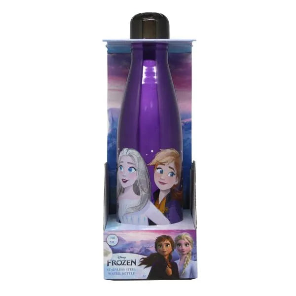 Disney Frozen Double Wall Stainless Steel Water Bottle 600ml