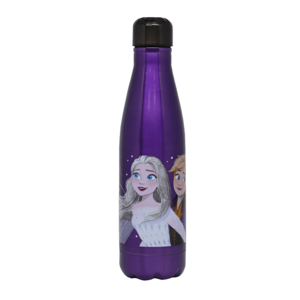 Disney Frozen Double Wall Stainless Steel Water Bottle 600ml