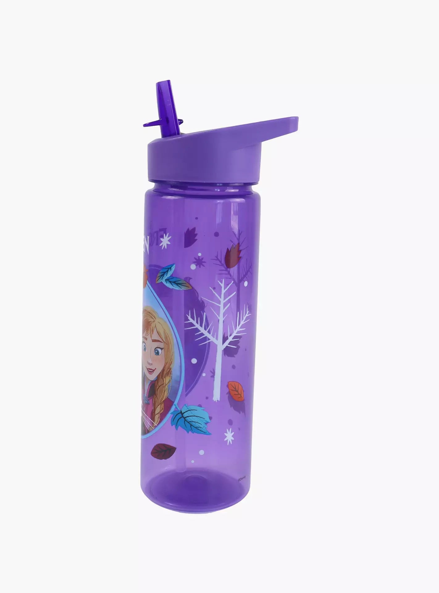 Disney Frozen PP Water Bottle 620ml