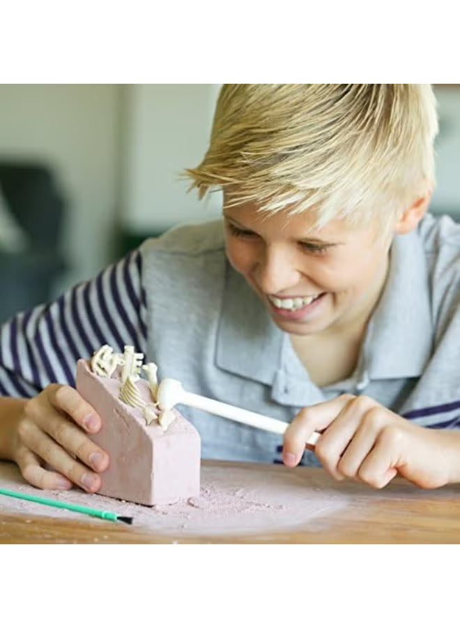 4M KidzLabs Stegosaurus Skeleton Excavation Kit