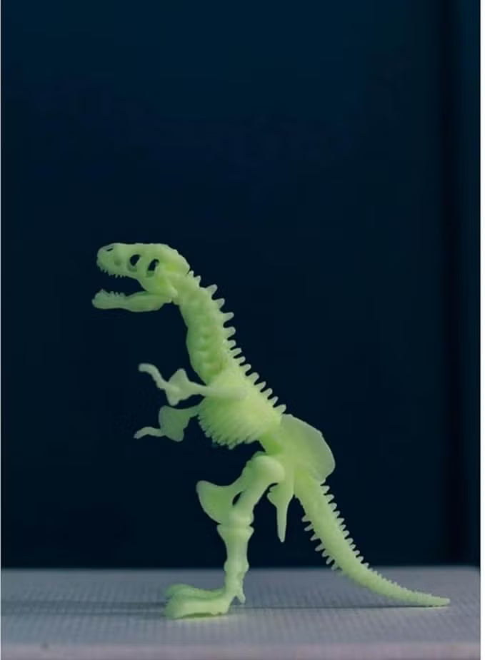 4M KidzLabs Glow T-Rex Skeleton