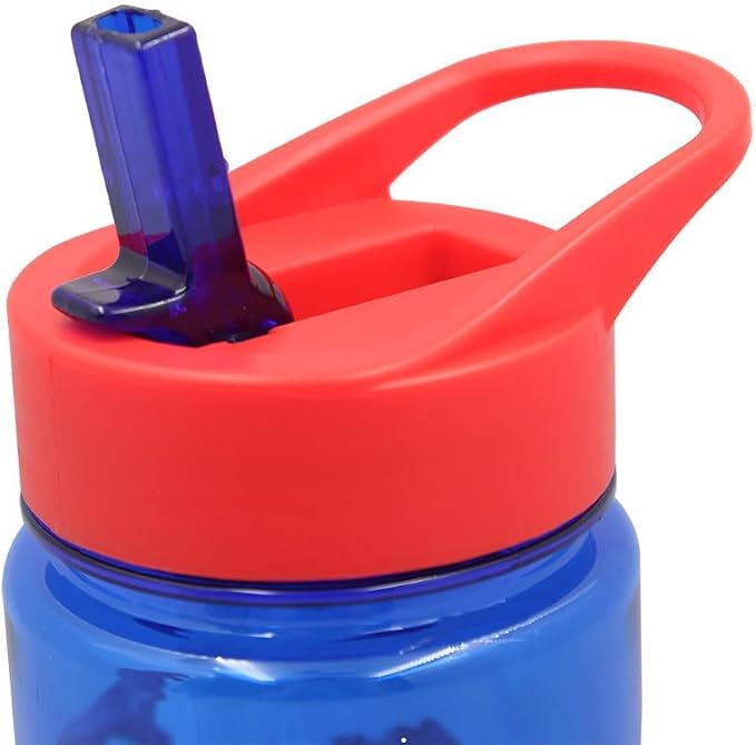 Spider Man 2 Water Bottle 650ml