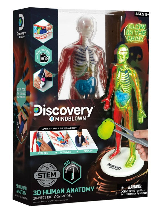 Buy Discovery Mindblown 3D Human Anatomy Kit | Yallatoys.com