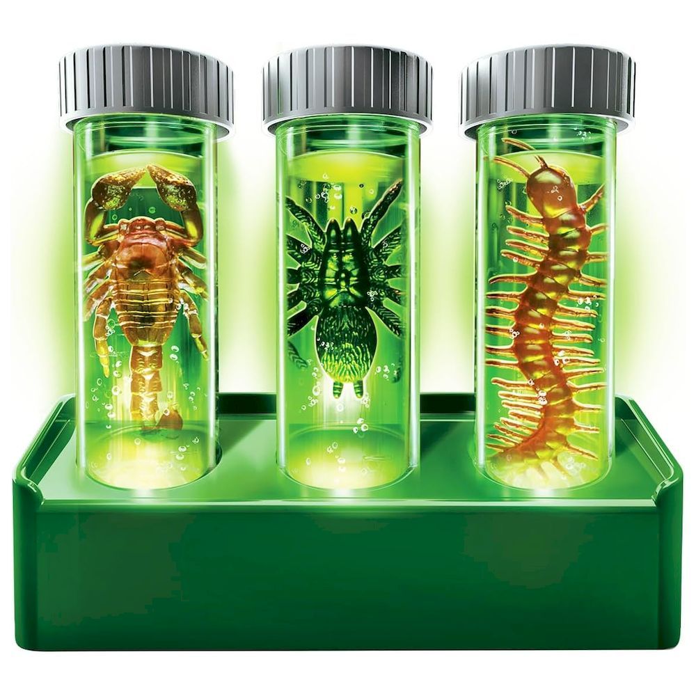 Buy 4M Kidzlabs Glow Critter Lab | Yallatoys.com