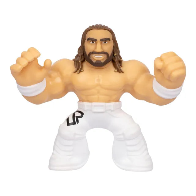 Buy Goo Jit Zu Wwe S2 Hero Figure Superstar Seth Freakin Rollins 11.4 Cm | Yallatoys.com