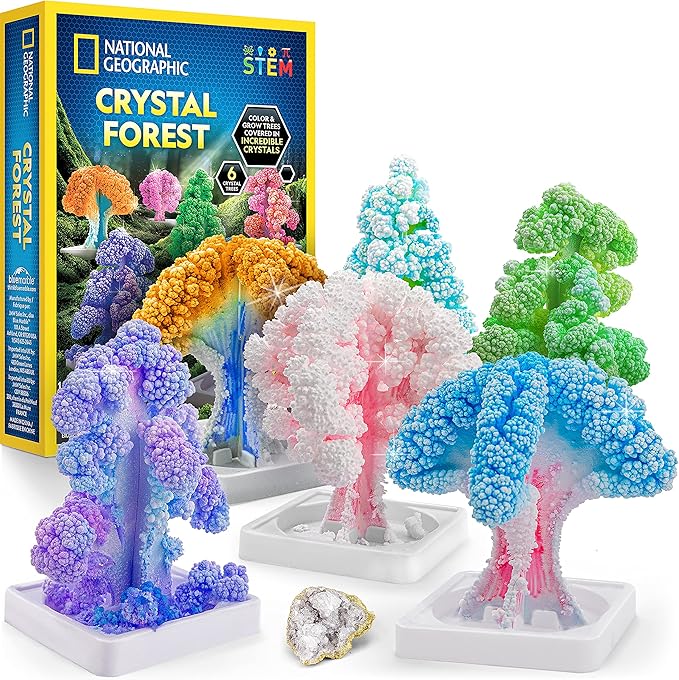 Buy National Geographic Crystal Forest | Yallatoys.com