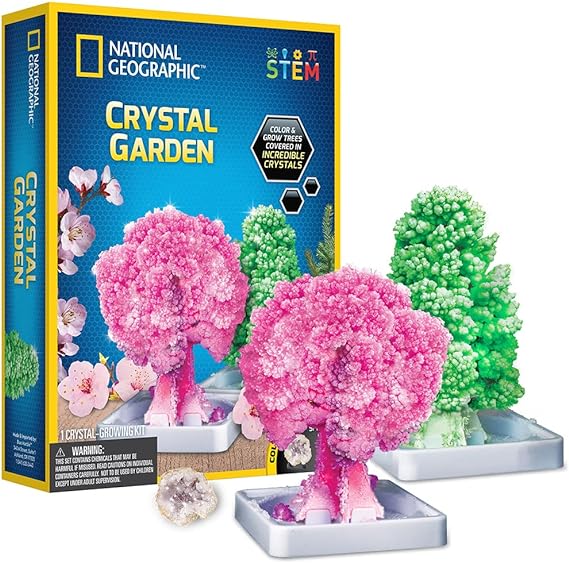 Buy National Geographic Crystal Garden Science Kit | Yallatoys.com