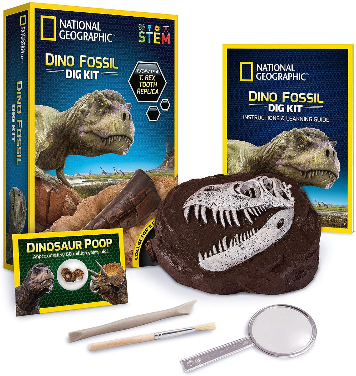 Buy National Geographic Dino Fossil Dig Kit Dig Up a T Rex Tooth | Yallatoys.com